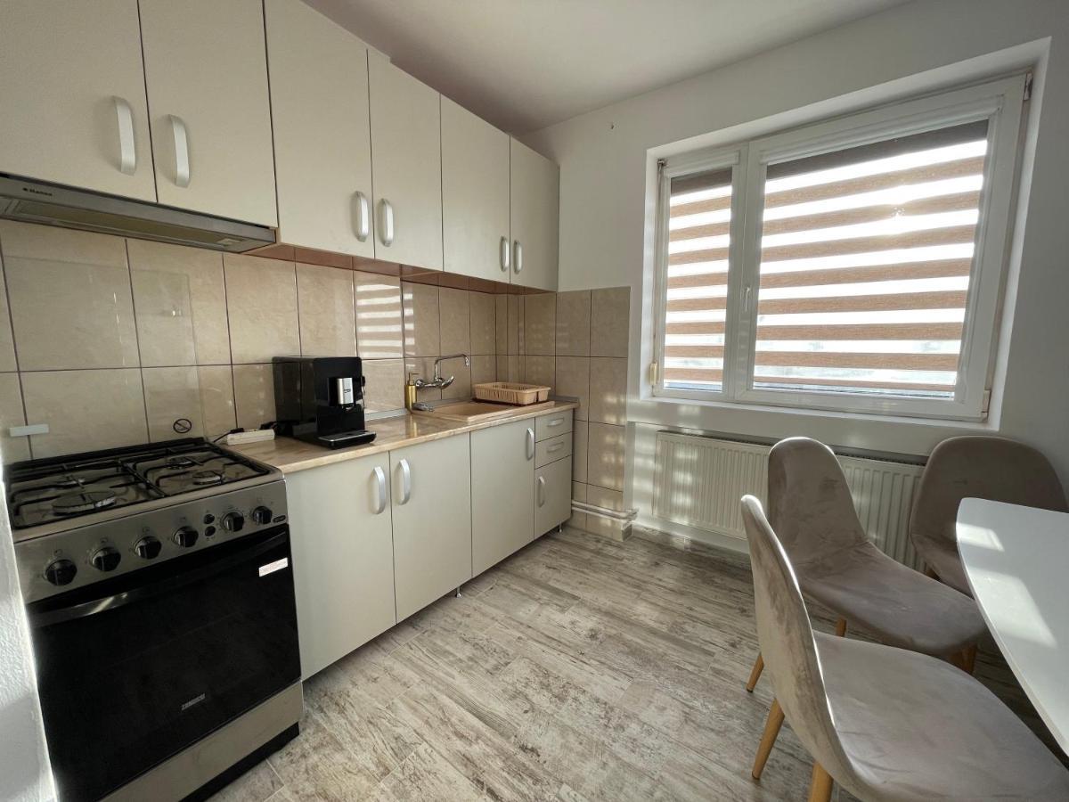 Tei Apartment - Lucian Blaga Satu Mare Exterior foto